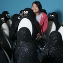 700mm high Polystyrene Penguin